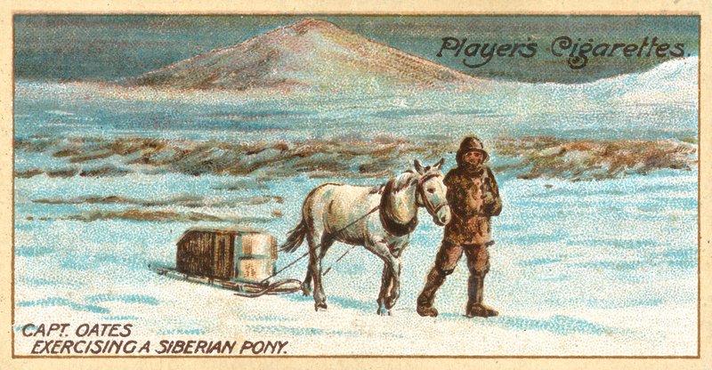 Kapitein Oates oefent een Siberische pony door English School
