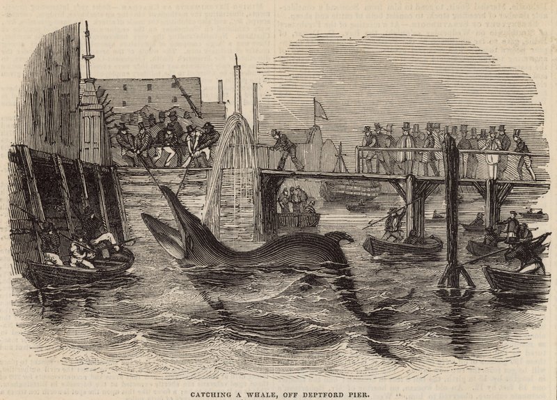 Een walvis vangen bij Deptford Pier door English School