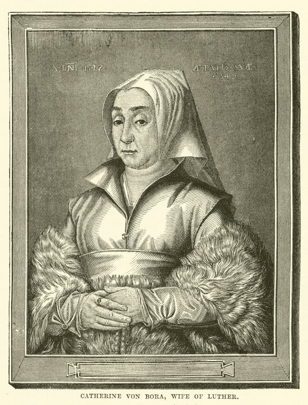 Catherine von Bora, Vrouw van Luther door English School