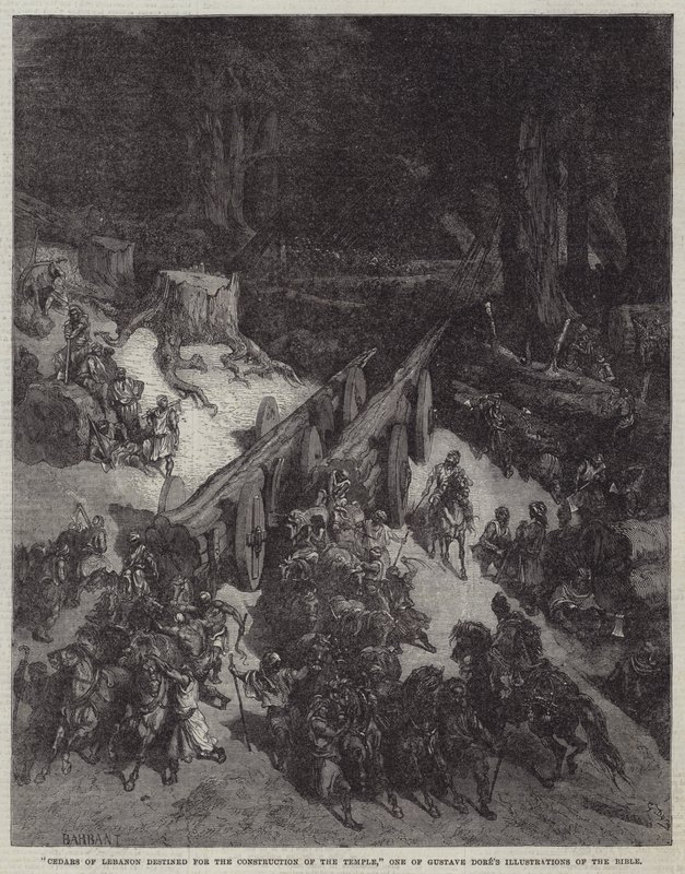 "Ceders van Libanon bestemd voor de bouw van de Tempel," Een van Gustave Doré