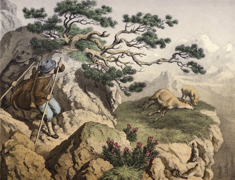 Gemsjagers van de Alpen, een draagt een steenbok, een gems ligt dood, dichtbij een hertenkalf, op de voorgrond enkele marmotten door English School