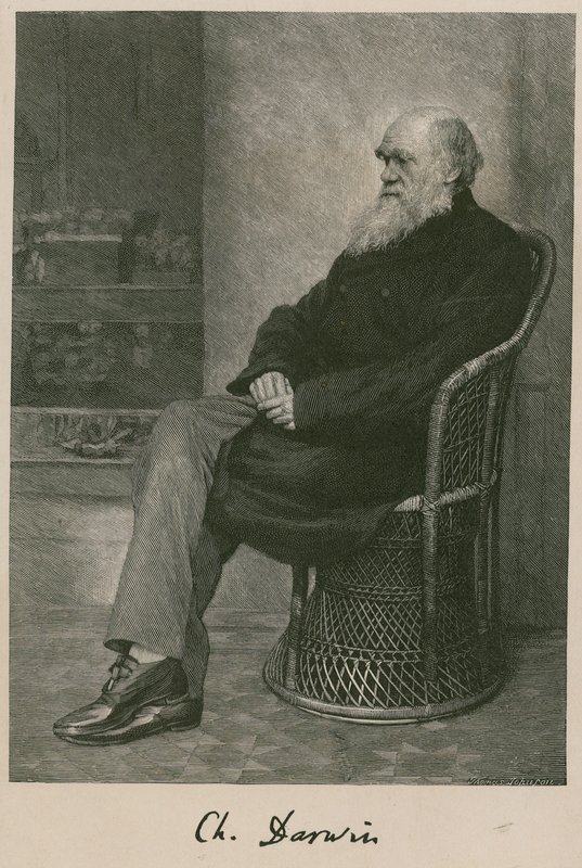 Charles Darwin door English School