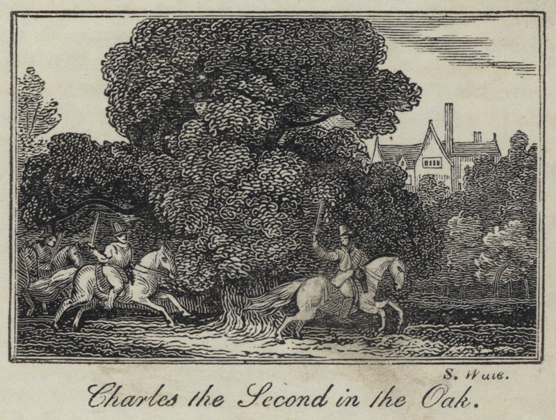 Karel de Tweede in de Eik (gravure) door English School