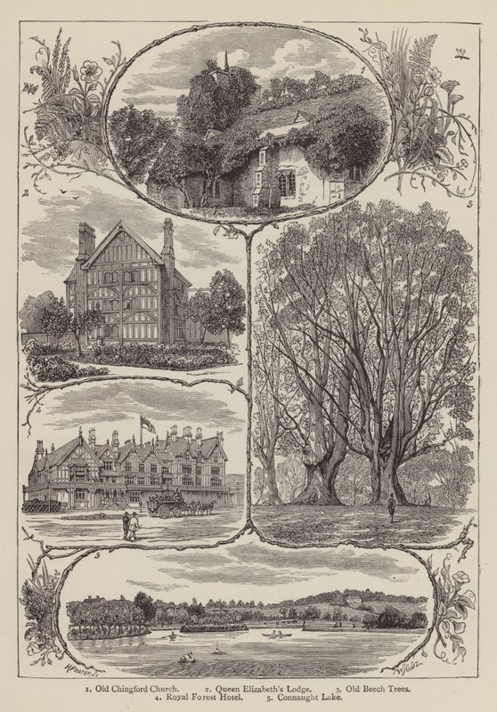 Chingford (gravure) door English School