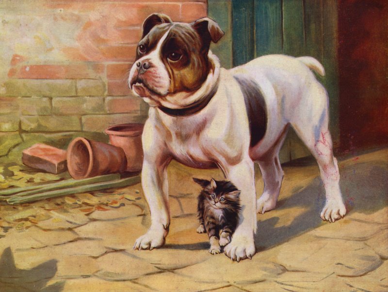 Hond en kitten door English School