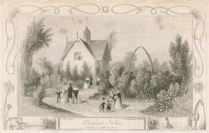 Olifantenhuis in Surrey Zoological Gardens, Londen door English School