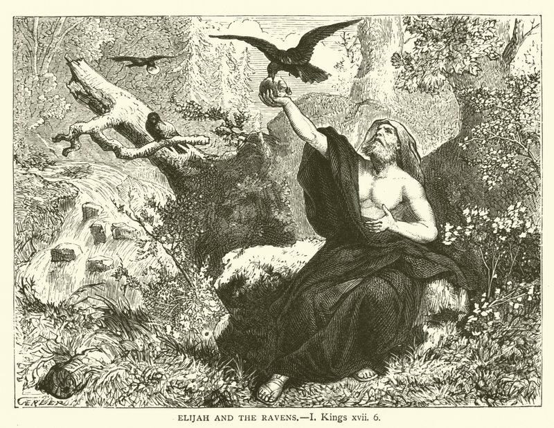 Elia en de Raven, I Koningen, xvii, 6 (gravure) door English School