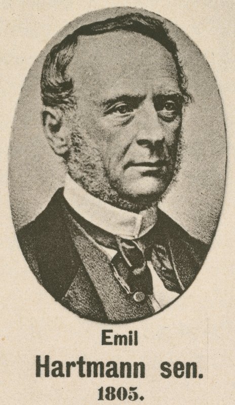 Emil Hartmann Senior door English School