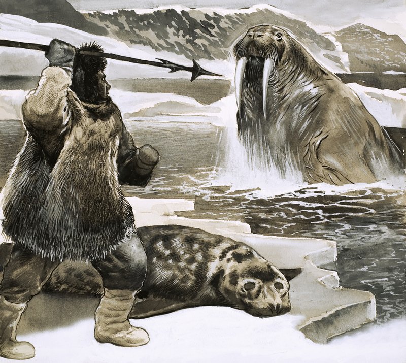 Eskimo die een walrus aanvalt door English School