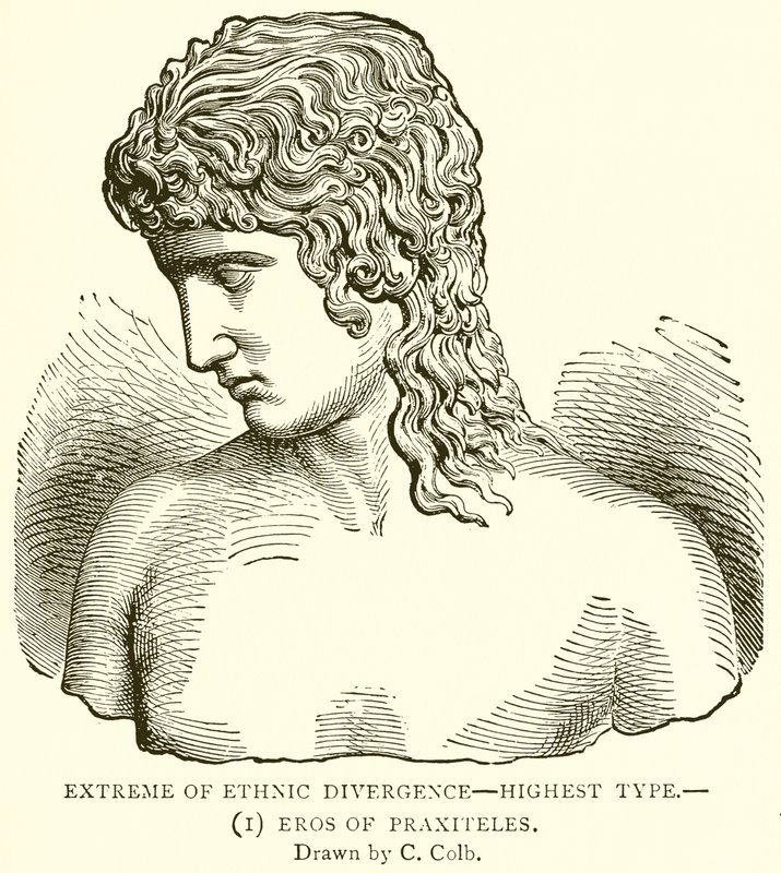 Extreem van etnische divergentie--hoogste type.--(1) Eros van Praxiteles door English School