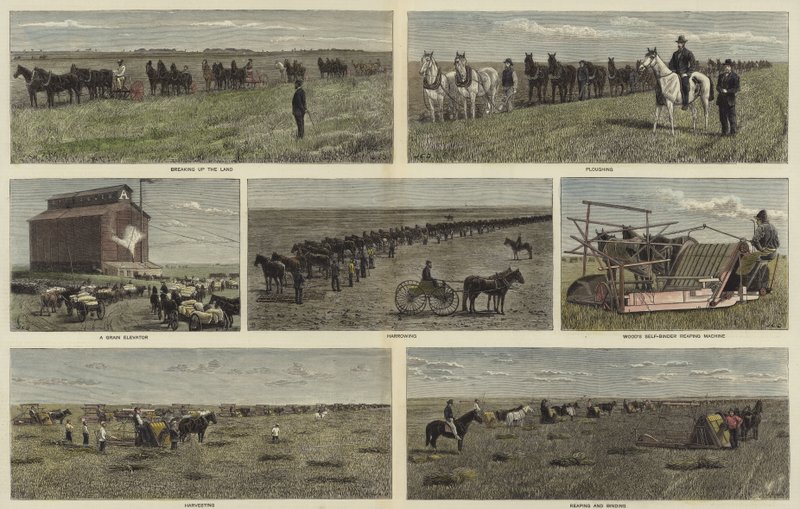 Boeren op de vlaktes van Noord-Amerika door English School