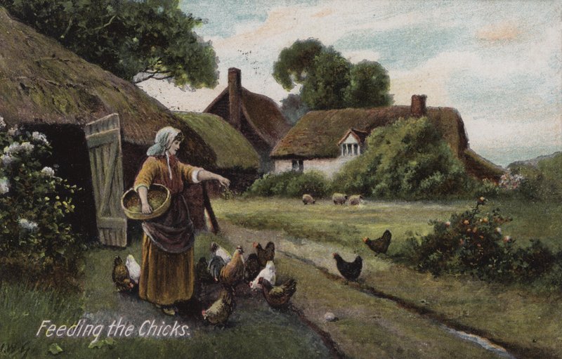 De kuikens voeren (kleur litho) door English School