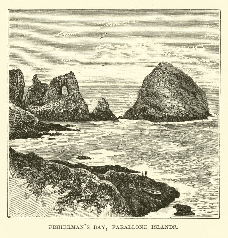 Vissersbaai, Farallone-eilanden door English School