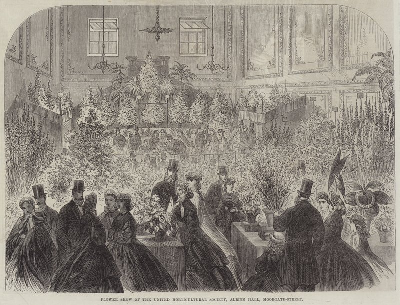 Bloemenshow van de United Horticultural Society, Albion Hall, Moorgate-Street (gravure) door English School