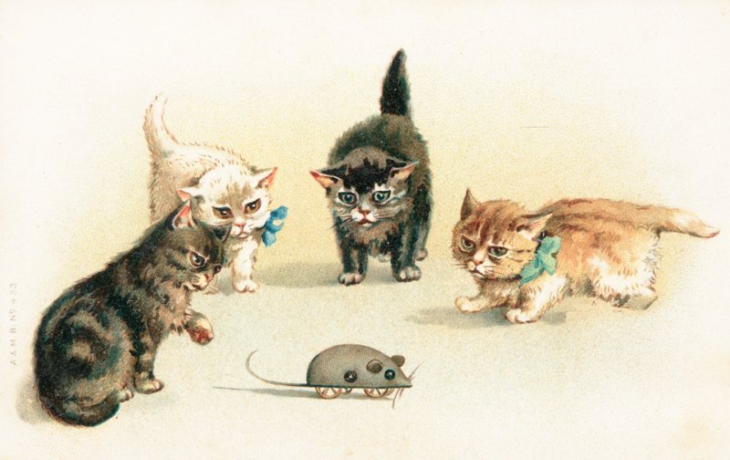 Vier kittens die met een mechanische muis spelen door English School