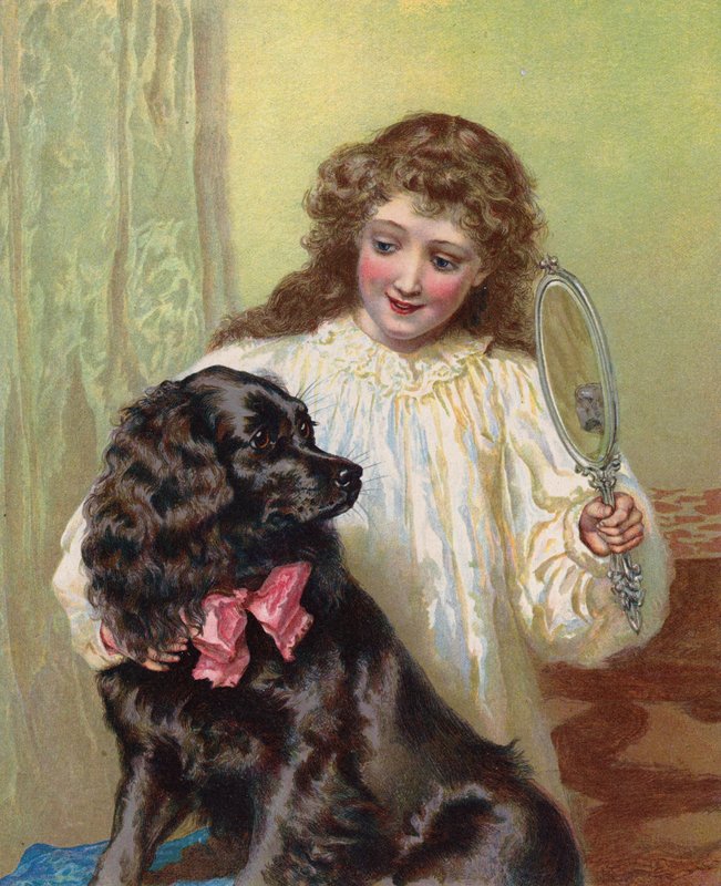 Meisje toont haar hond zijn spiegelbeeld door English School