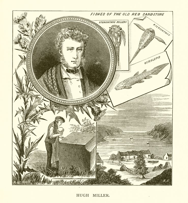 Hugh Miller door English School