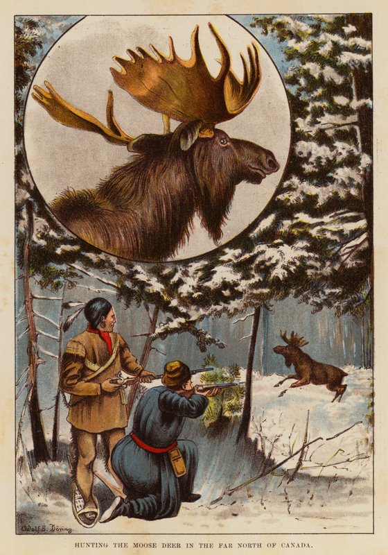 Het jagen op de eland in het verre noorden van Canada door English School