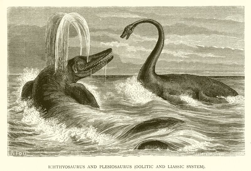 Ichthyosaurus en Plesiosaurus, Oolitisch en Liassisch systeem door English School