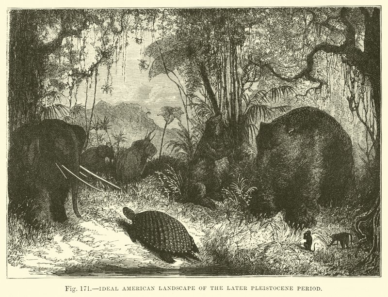 Ideaal Amerikaans landschap van de latere Pleistoceen periode door English School
