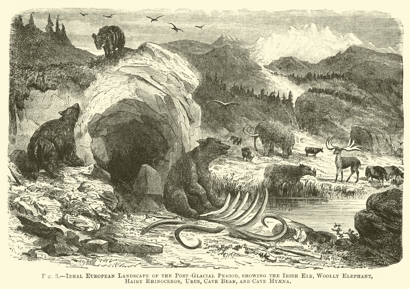 Ideaal Europees landschap van de postglaciale periode, met de Ierse eland, wollige olifant, harige neushoorn, oeros, grotbeer en grothyena door English School
