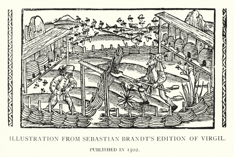 Illustratie uit Sebastian Brandt