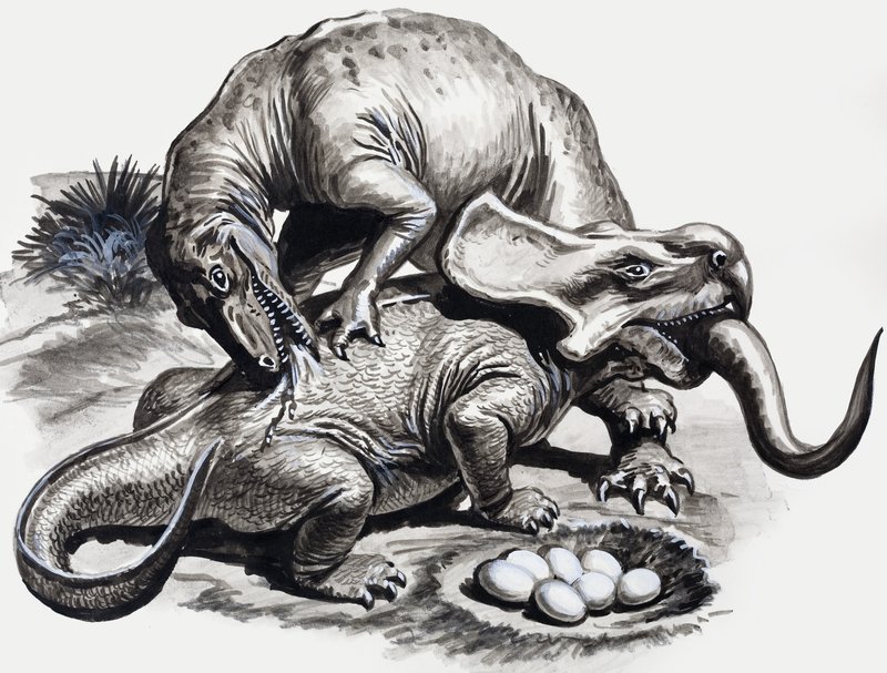 In de dagen van de dinosauriërs: Ontdekking in de woestijn door English School