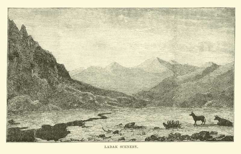 Ladak Landschap door English School