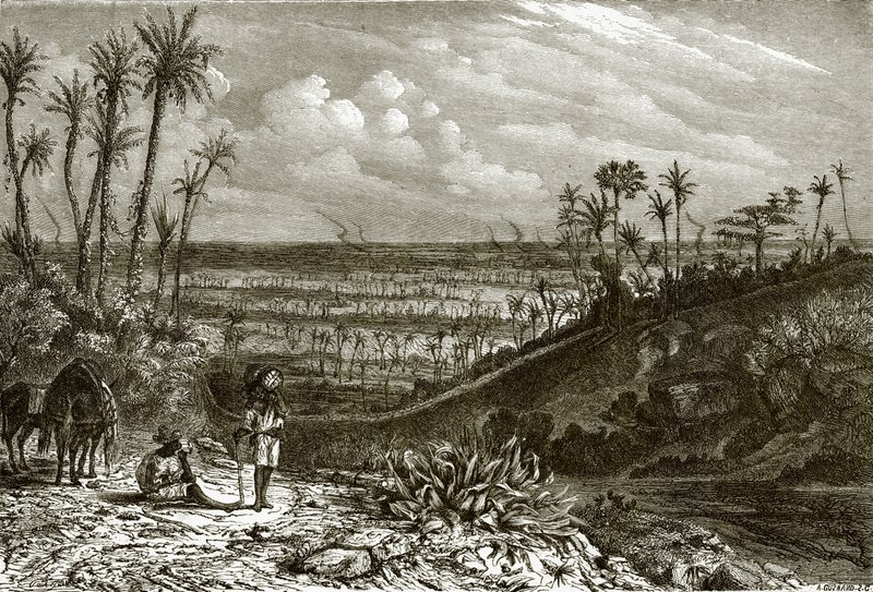 Landschap op het eiland Cuba door English School