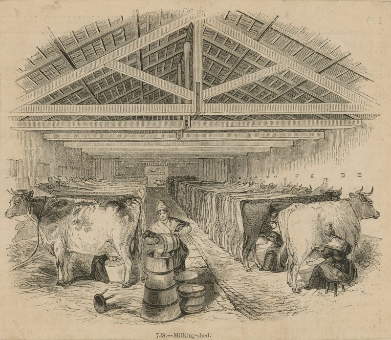 Laycocks Melkveehouderij, gedateerd juli 1841 door English School