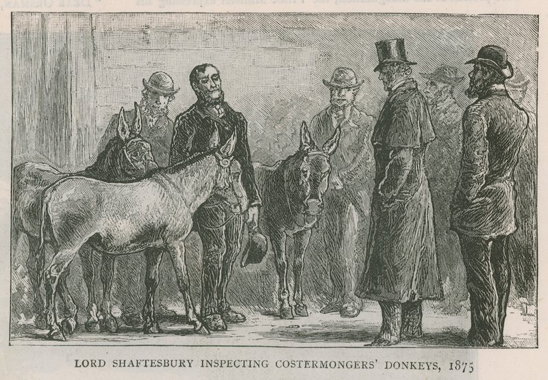 Lord Shaftesbury inspecteert de ezels van de straatverkopers door English School