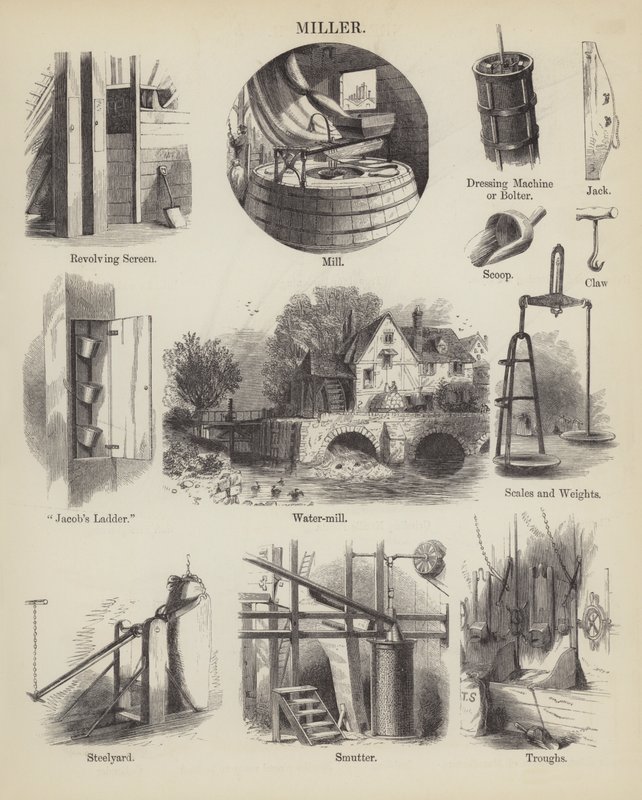 Molenaar (gravure) door English School