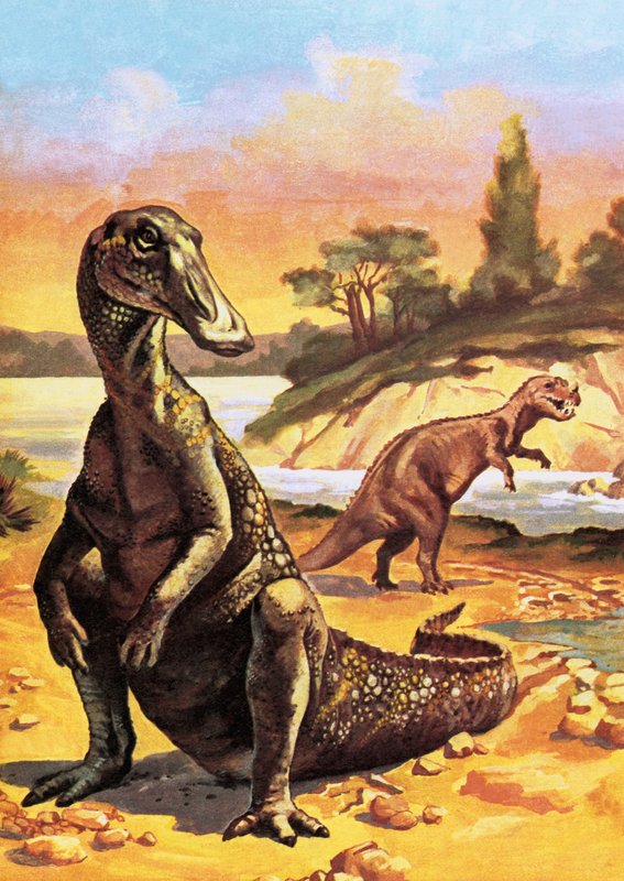 Miljoenen jaren geleden: monsters te groot om te overleven door English School