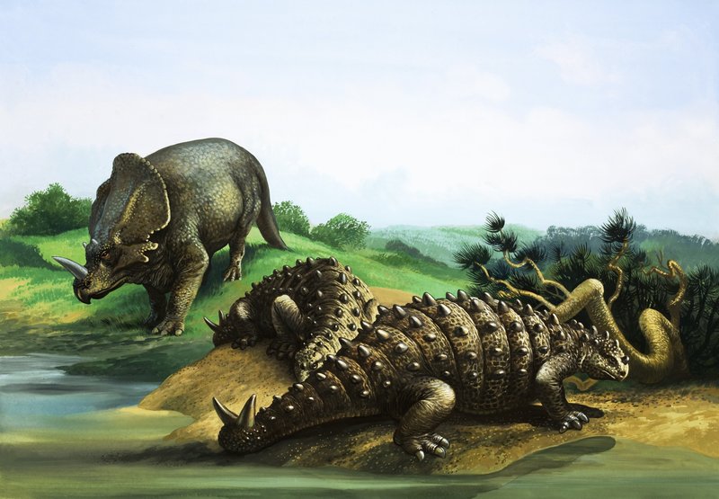 Monoclonius en Scolosaurus door English School