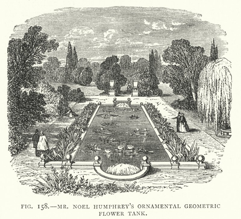 De sierlijke geometrische bloementank van meneer Noel Humphrey (gravure) door English School