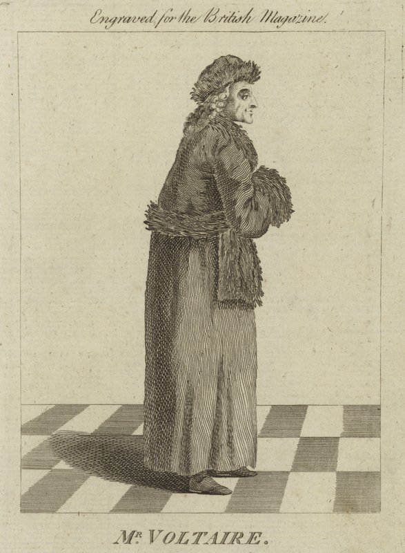 De heer Voltaire door English School
