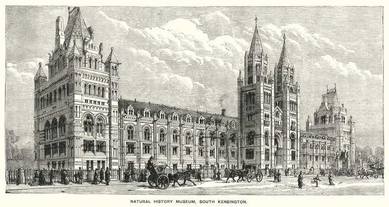 Natuurhistorisch Museum, South Kensington door English School