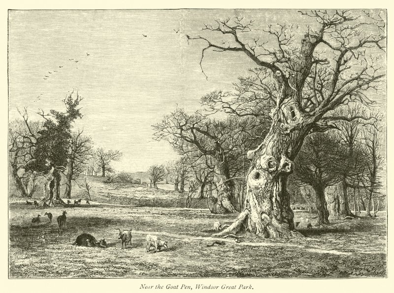 Bij de Geitenstal, Windsor Great Park door English School