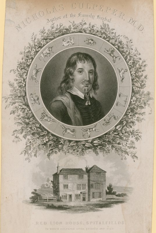 Nicholas Culpepper, MD door English School