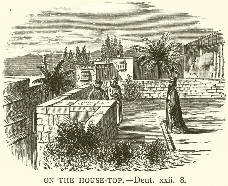 Op het Dak, Deuteronomium, xxii, 8 (gravure) door English School