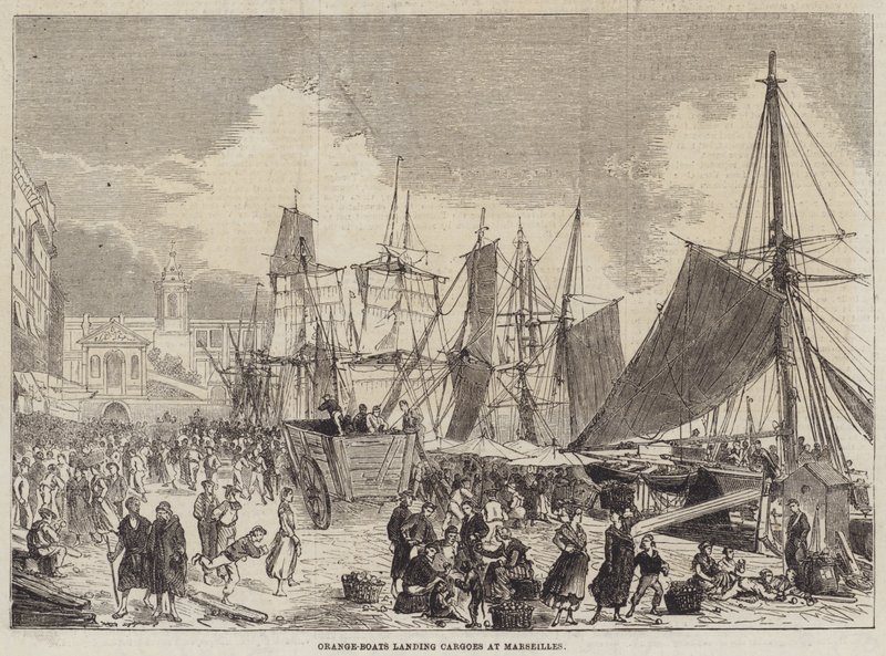 Sinaasappelboten lossen ladingen in Marseille (gravure) door English School