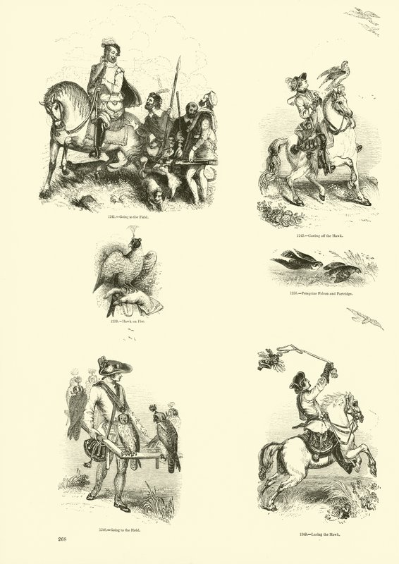 Pagina uit Het Picturale Museum van Geanimeerde Natuur door English School