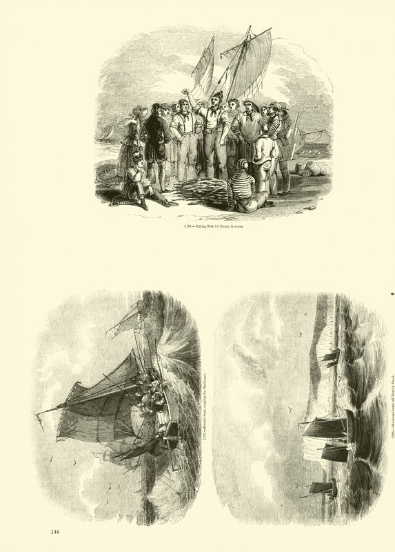 Pagina uit Het Picturale Museum van Geanimeerde Natuur door English School