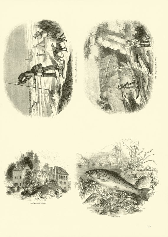 Pagina uit Het Picturale Museum van Geanimeerde Natuur door English School