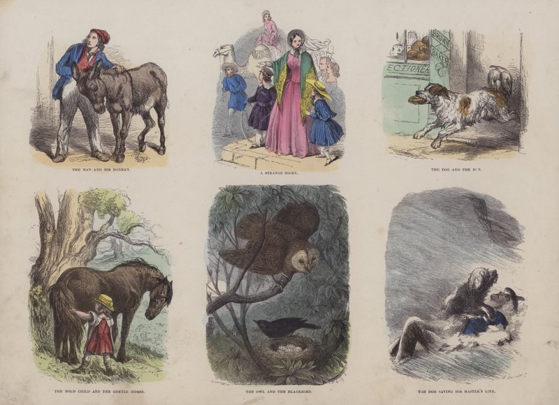 Pagina uit het aantrekkelijke prentenboek (gekleurde gravure) door English School
