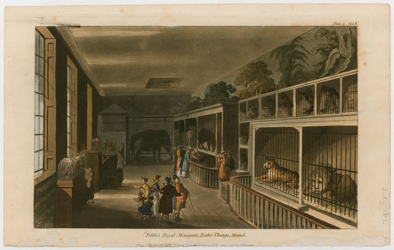 Politos Koninklijke Menagerie, Exeter Change, Strand door English School