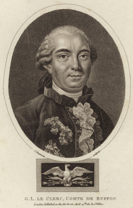 Portret van Georges-Louis Leclerc, Graaf de Buffon door English School