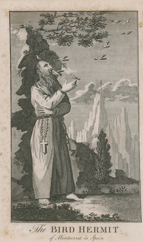 Portret van de Vogelkluizenaar van Montserrat door English School