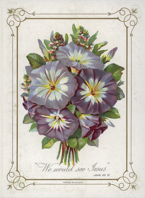 Boeket bloemen door English School