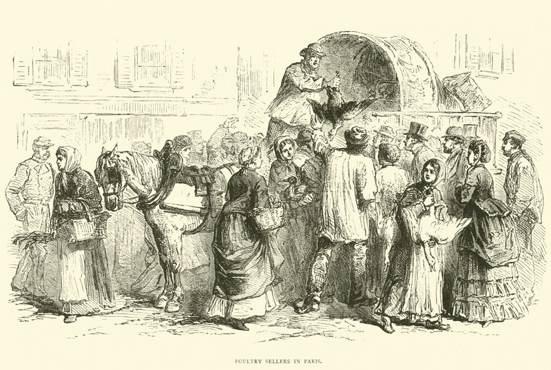 Pluimveeverkopers in Parijs, oktober 1870 door English School